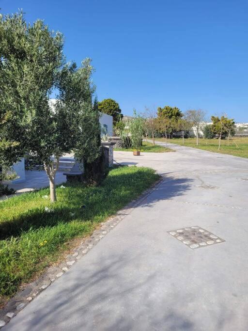 Ocean Sun 5 Apartment Éxo Goniá Екстериор снимка